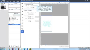 Using Gloss in  VersaWorks