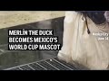 World Cup crowds go quackers for Merlin the duck