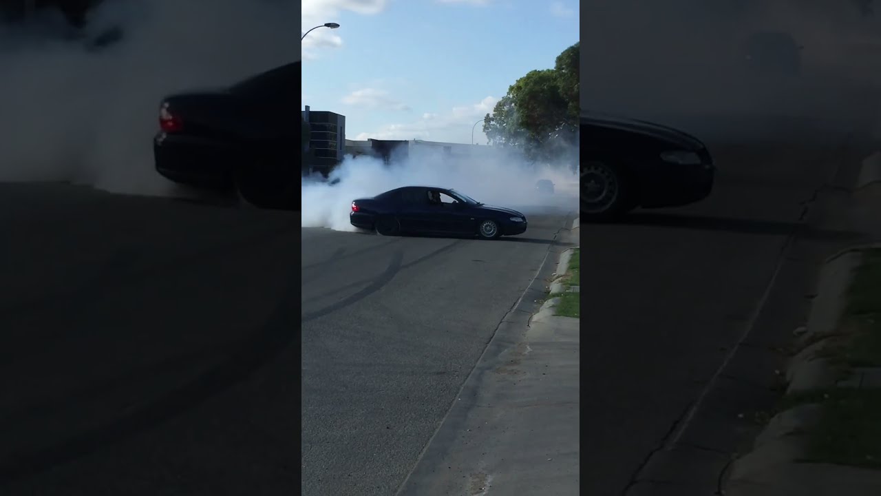 Holden Vx Executive Ls1 Skid
