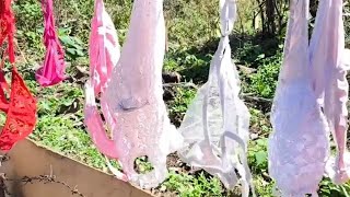 Another day doing laundry #simplelife #nature #nevergiveup #countrylife
