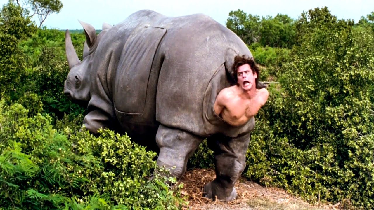 Overly Dramatic and Eccentric Pet Detective Came for a Quest to Save a