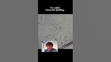 Het is een geweldige dag TOTDAT... Beton afbrokkelt 😢 *komt de chat binnen*