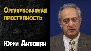 Криминалистика. Организованная Преступность | Юрий Антонян