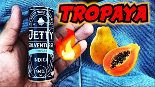 This TROPAYA Had All The FRUITY PAPAYA TERPS!! JETTY EXTRACTS Solventless Live Rosin Cart Review!