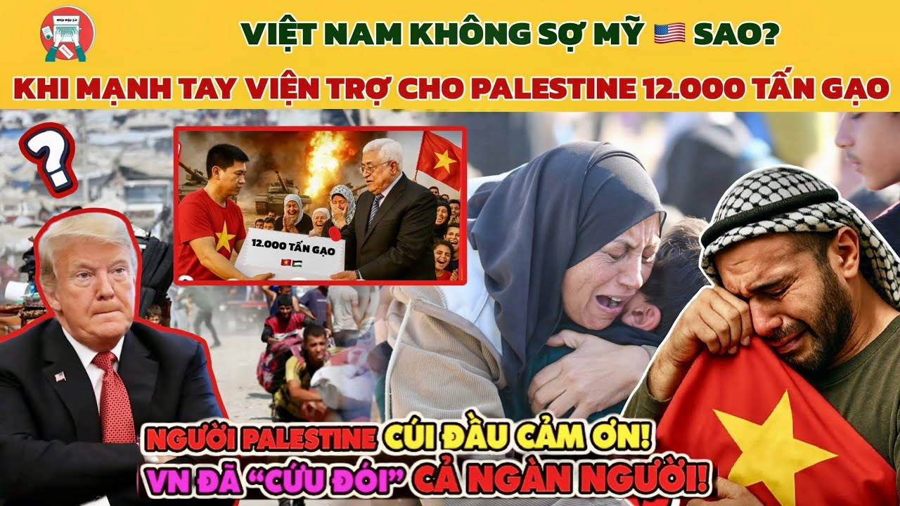 🔥Dân Mạng Quốc Tế Sững Sờ: Việt Nam Không Sợ Mỹ, Thẳng Tay Viện Trợ Palestine 12.000 Tấn Gạo