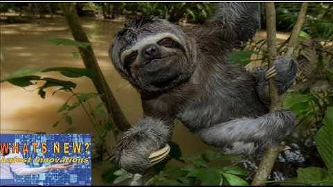 Explore the Amazon Rain Forest with new reality film