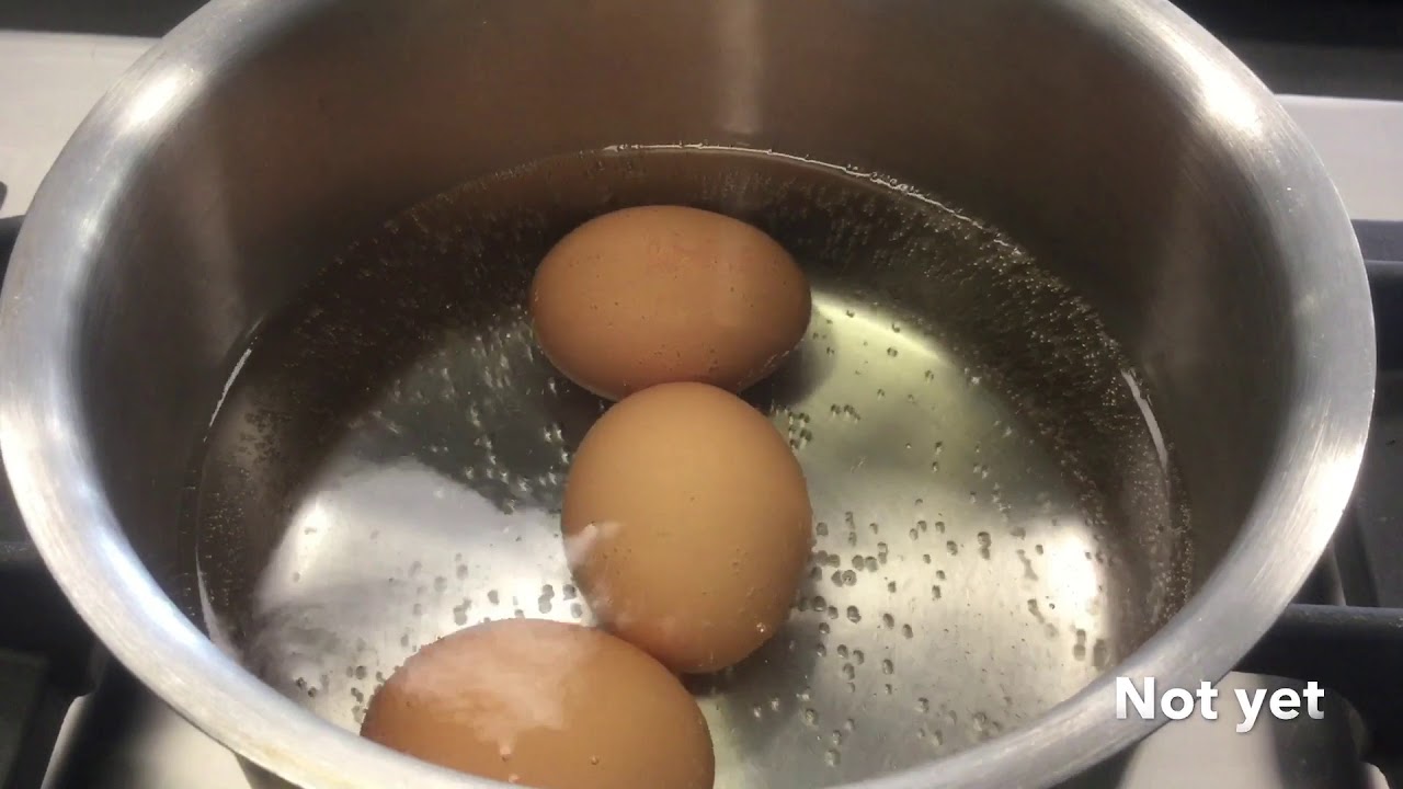 Boiling Eggs - YouTube
