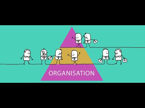 begrebet-organisation