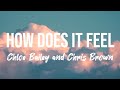 Chloe Bailey - How Does It Feel (Lyrics) ft Chris Brown