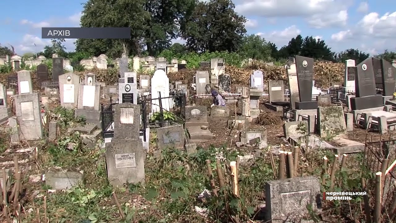 Єврейське кладовище у Чернівцях почали розчищати від бур’янів та кущів - © Чернівецький промінь