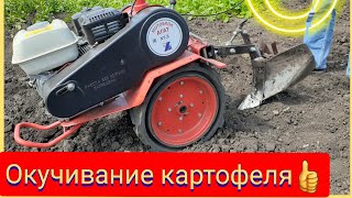 Окучивание картофеля мотоблоком.