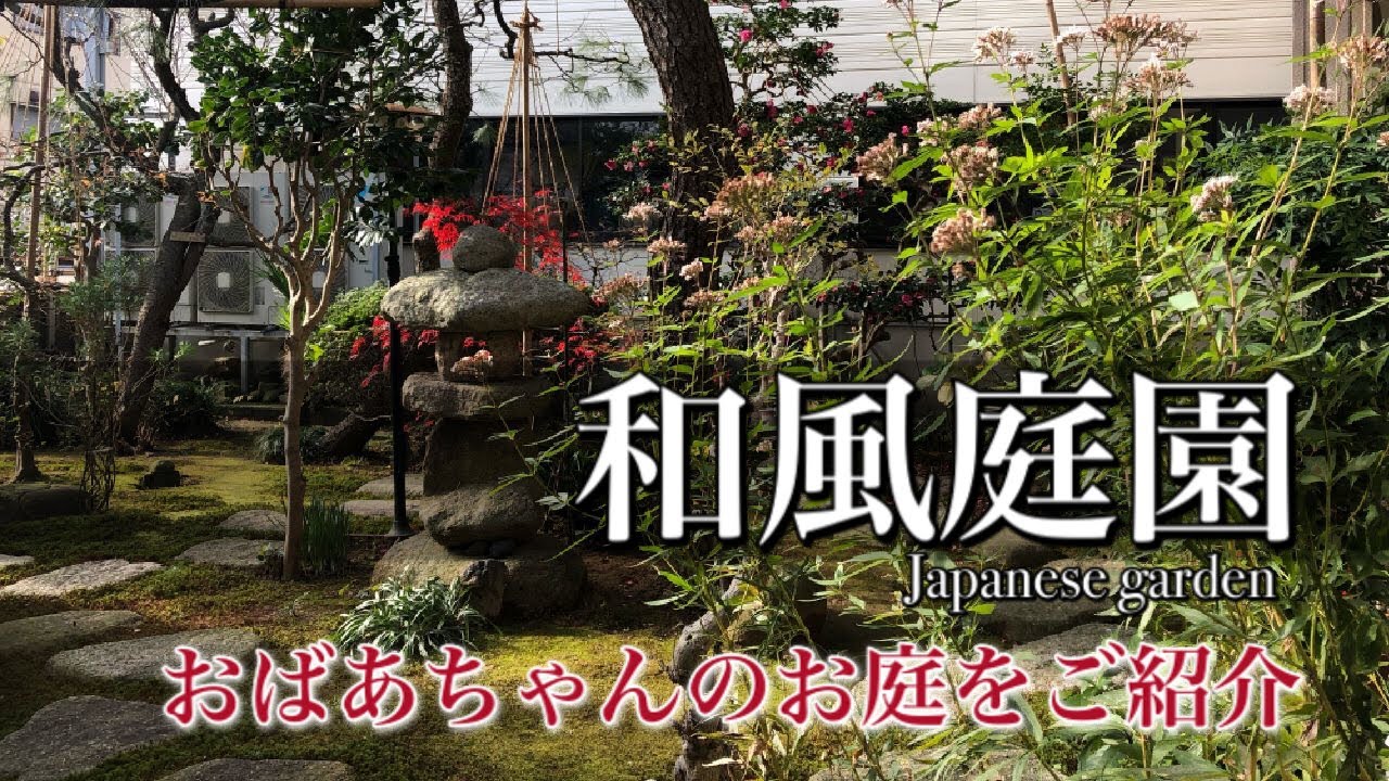 和風庭園 おばあちゃんのお庭に植えてある植物をご紹介 Japanese Garden Youtube