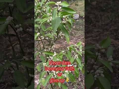 If God Puts You In That SITUATION ITS NOT By Accident