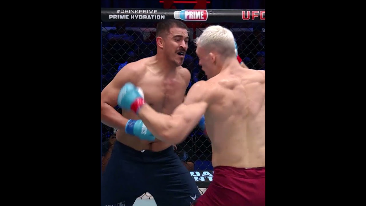 One punch KO! #ufcbelgrade