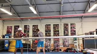 2019060501 toellgym.com