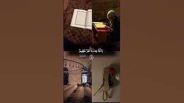 تلاوة خاشعة   #اكسبلور #المصحف #تيك_توك