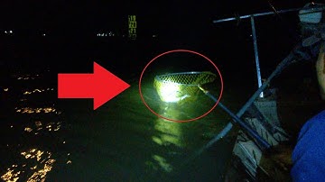 CÂU CÁ MIỀN TÂY TẬP 45 | CÂU CÁ DỨA NGÁT BASA  SÔNG HÀM LUÔNG | HUYNH KHOA FISHING