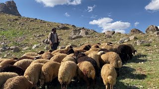 Razaq Herki - Yara Xayin 💐 kürtçe uzun hava dengbeji HD 2023 [ Kürtçe Şarkı ] Resimi