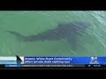 Atlantic white shark conservancy offers private shark sighting tours off cape cod