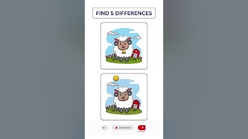 Only 10% Can Find All 5 Differences | Visual Puzzle Challenge #shorts
