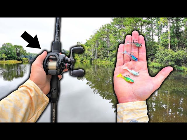 The World's SMALLEST Fishing LURES In URBAN Pond (Crazy Catch