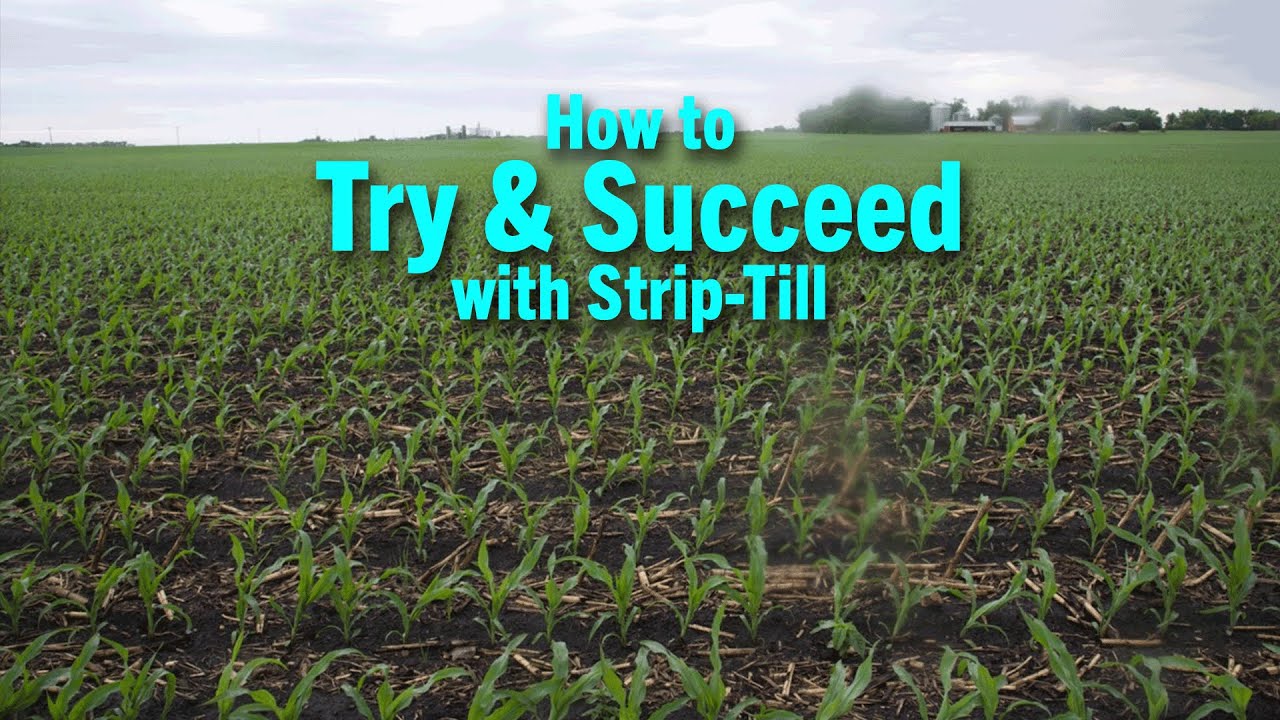 How to Try & Succeed with Strip-Till 