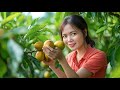 Harvesting Sapodilla &amp; Goes to Market Sell | Trees Overflowing with Sweet Fruit!