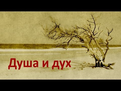 Видео: Разница между плотью и духовностью