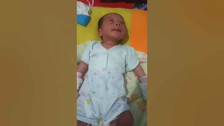 Gaozhan Evren Timur