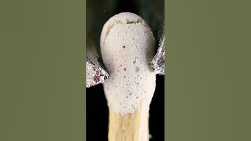 Matches and pliers | Macro #satisfying #macro #asmr #asmreating #closeup #zoom