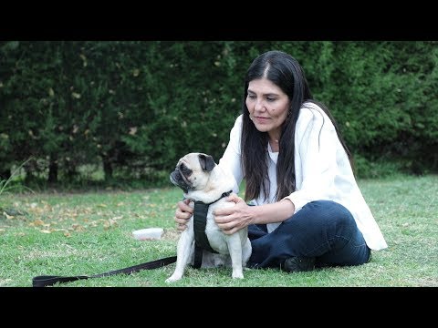 Xiomara Rodríguez, la mujer que habla con los animales | El Espectador - Xiomara Rodríguez, la mujer que habla con los animales | El Espectador