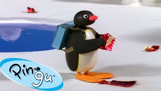 Pingu And The Litter 🐧 | Pingu - Official Channel | Cartoons For Kids