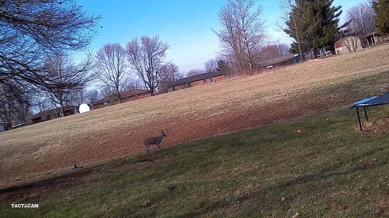 Tactacam 2 0 Test Video YouTube