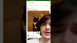 Specific cat subreddits explained: kitty has a question #cats #reddit #memes #redditstories