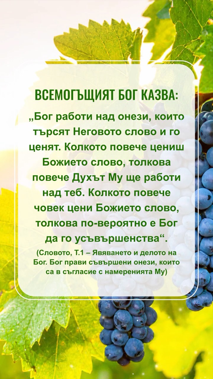 Бог иска тихо да прочетем този откъс от Неговите слова