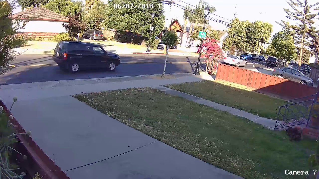 Will Your Dog Protect Your Home Hit All Details With