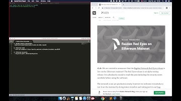 Raiden Network - How to install a Raiden node on the Ethereum Mainnet
