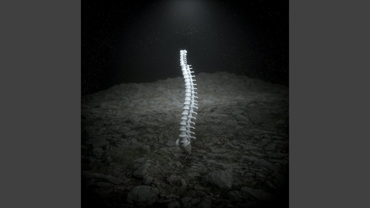 Guarda Vertebrae su YouTube Guarda Vertebrae su YouTube
