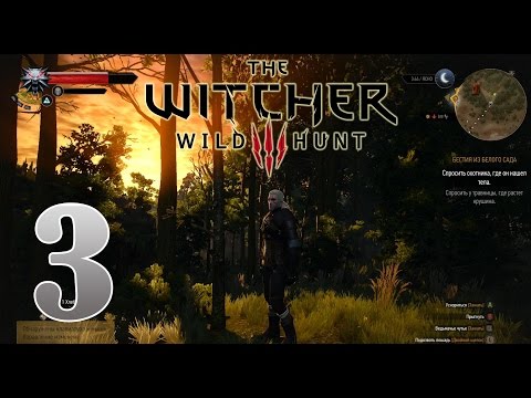 Пропавший без вести. Ведьмак III: Дикая охота. #3