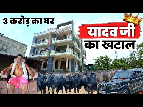 यादव जी का खटाल 🐃 || भैंसों का साम्राज्य || Dairy farming in india 