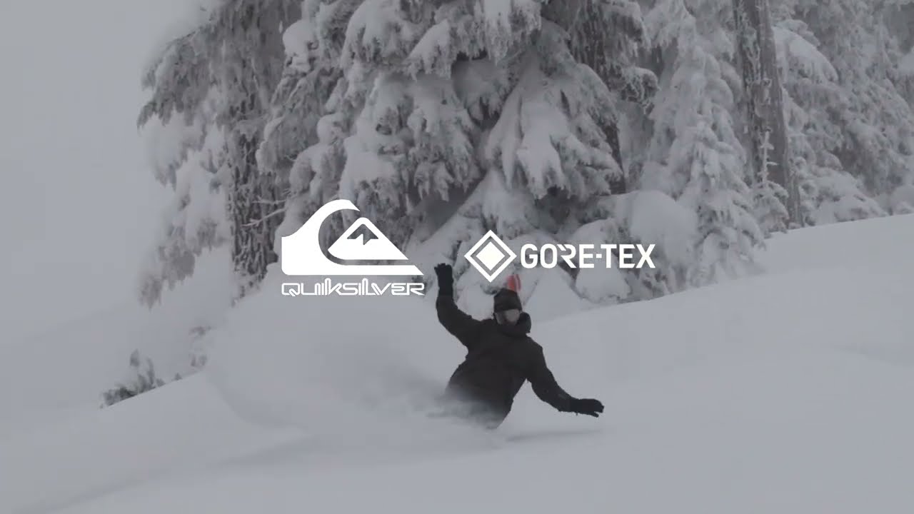 Black Alder Stretch 2L GORE-TEX® Shell Snow Jacket | Quiksilver