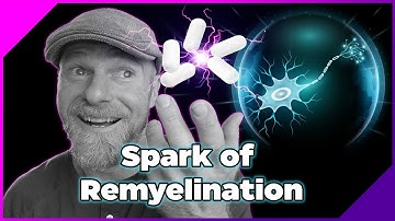 Spark of Remyelination ⚡