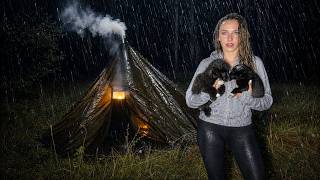 82 Hours of Camping in Rain & Storms with Puppies | Binge Watching ASMR