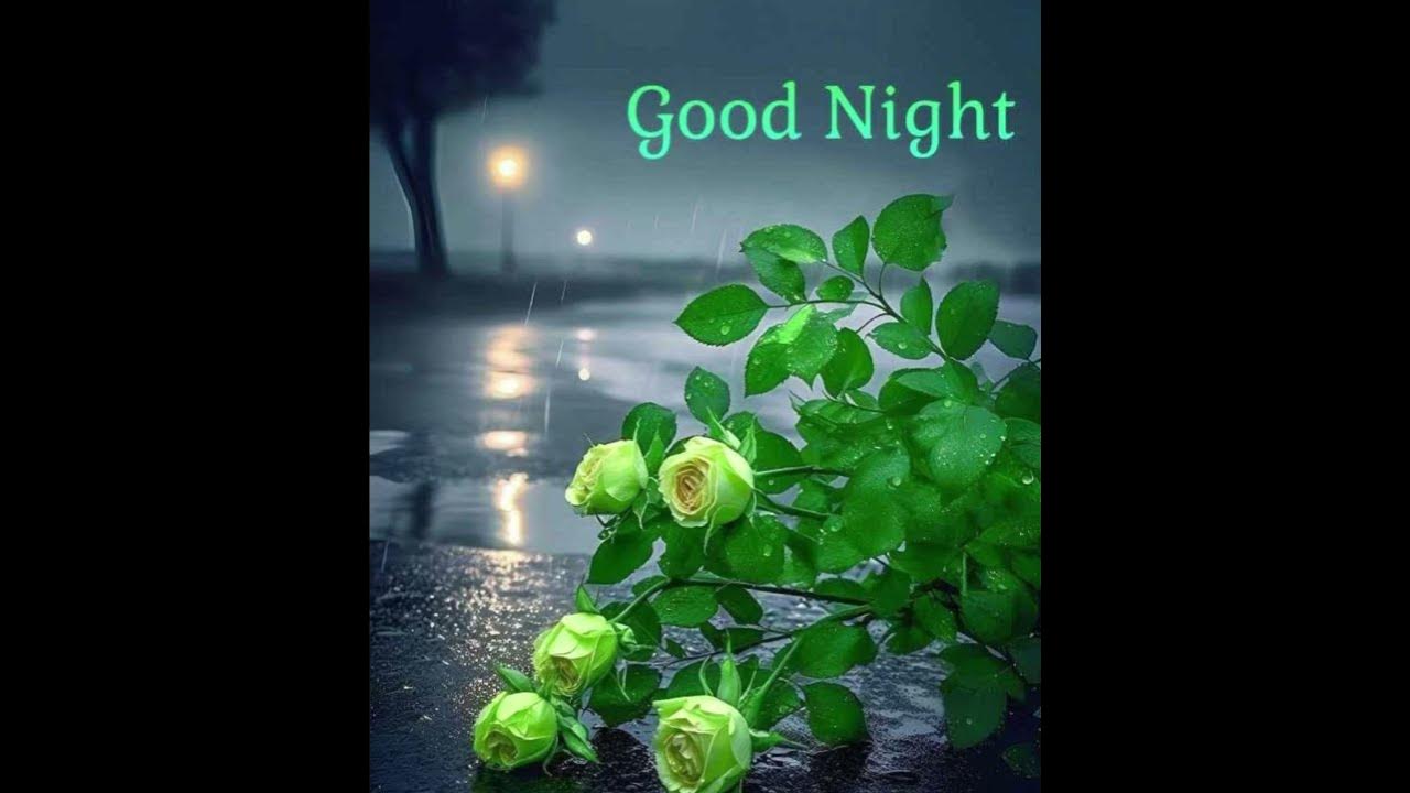Good night songs youtube