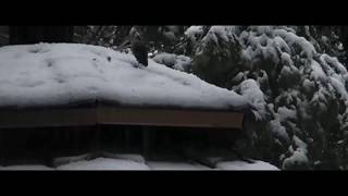 Обложка Bones TimTheToolmanTaylor NEW TRACK перевод Скачать Bones TimTheToolmanTaylor NEW TRACK перевод