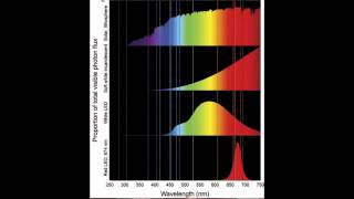 Blue is New? Did The Visible Color Spectrum Shift In Recent History?