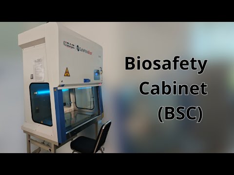 Alat Lab: Biosafety Cabinet (BSC) dari Model BioAir Safemate Eco+ Class ...