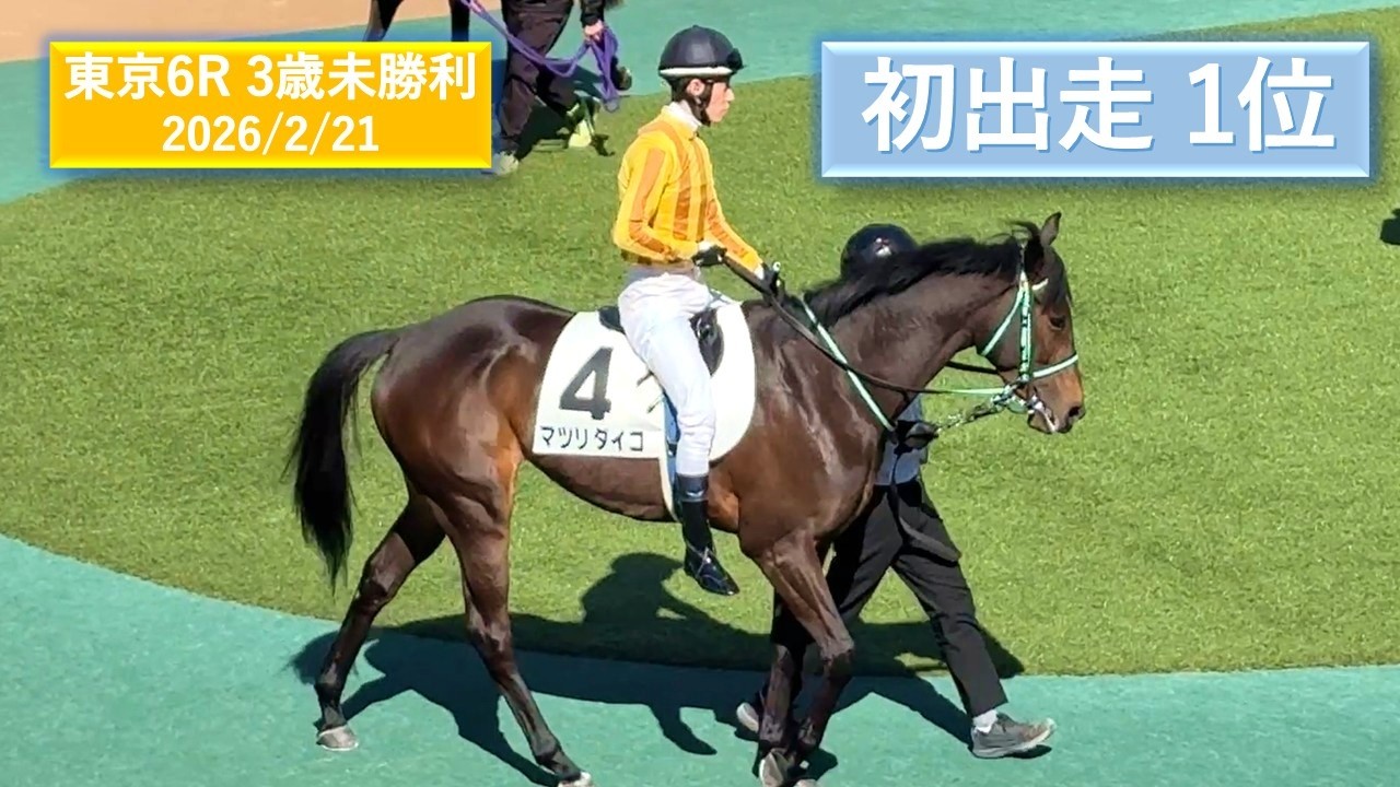 2026年2月21日 | 東京6R 3歳未勝利 | マツリダイコ | サザンテイオー | グランマエストロ | パドック 現地映像 全頭 | 東京競馬場 | 芝1,600