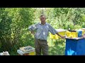 Літній огляд бджіл та роботи на пасіці | Шалений медозбір