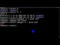 Set permission with chmod and chown